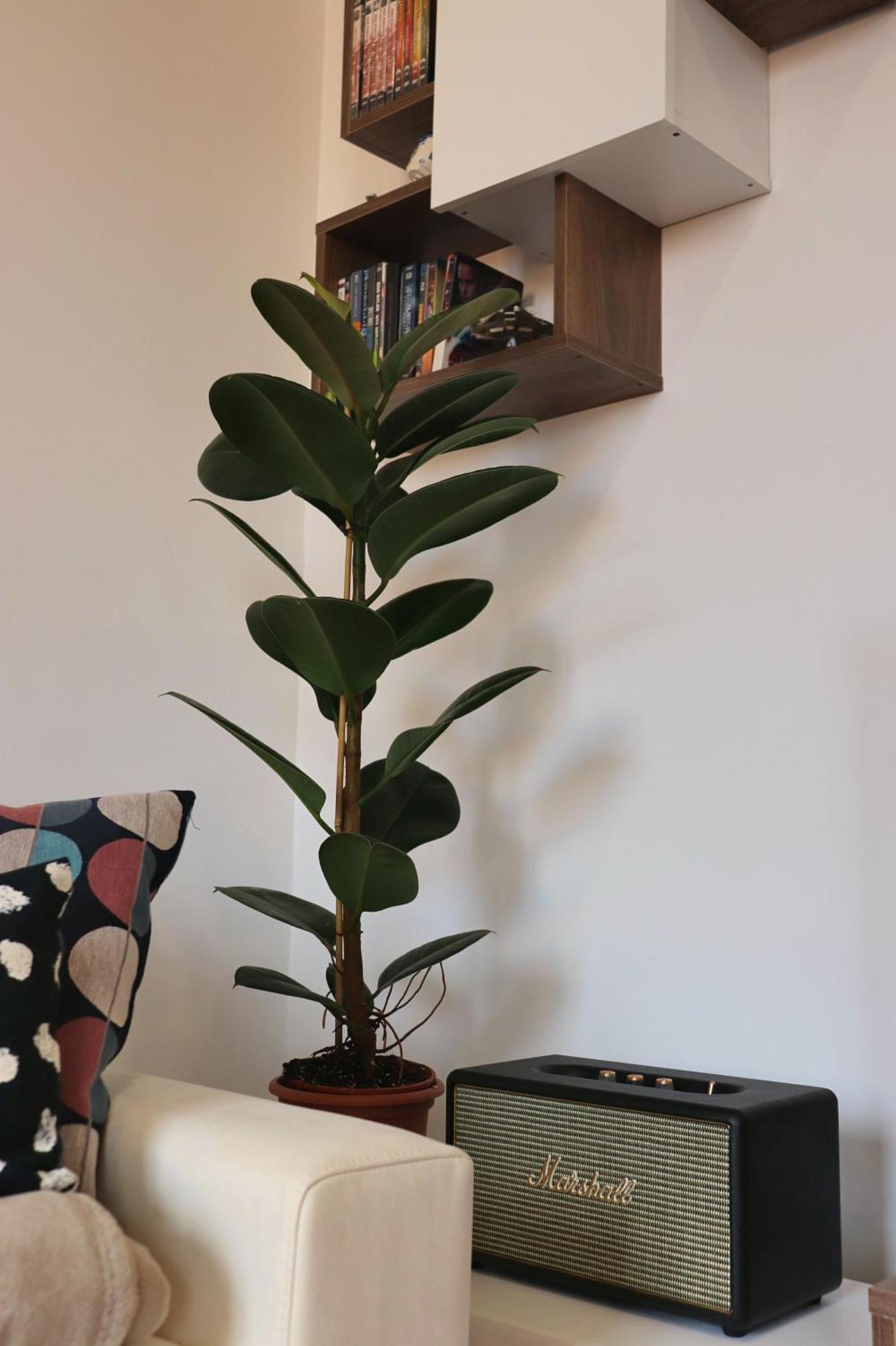 Apartment Saint Bon Dream Rome